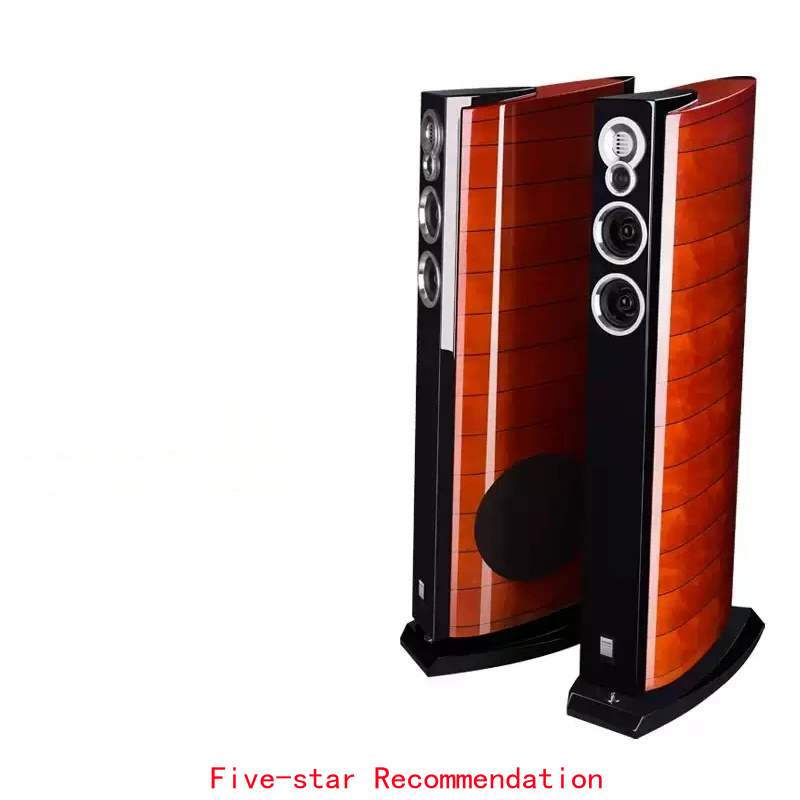 Enceintes de sol DX-5 10 pouce - Home Cinema High End avis et prix